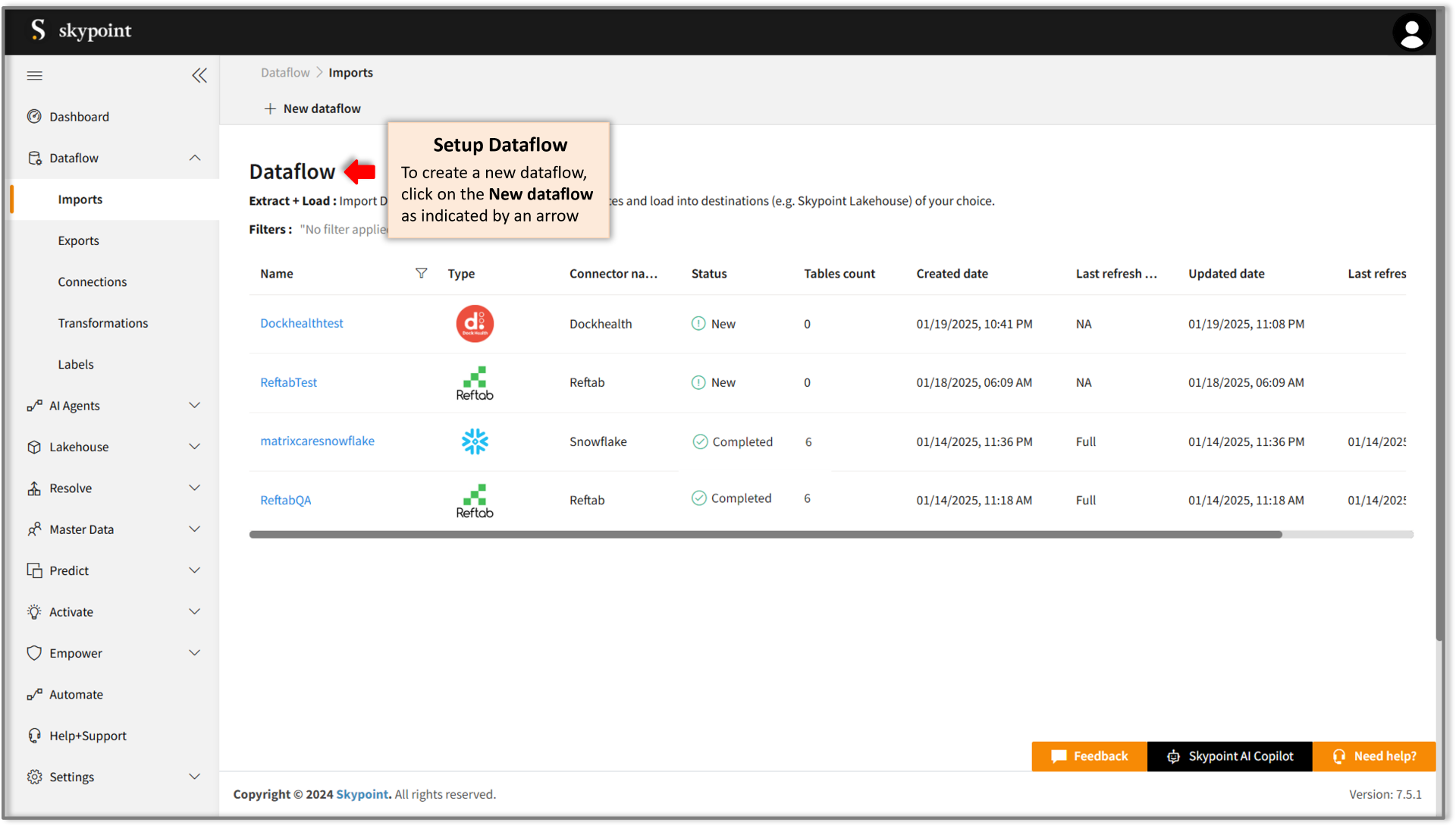 Set paynw dataflow on skypoint ai